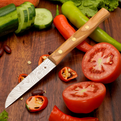 Gemuesemesser Solingen Zöppken Style Rostfrei olive blatt Holzgriff Dünnschliff
